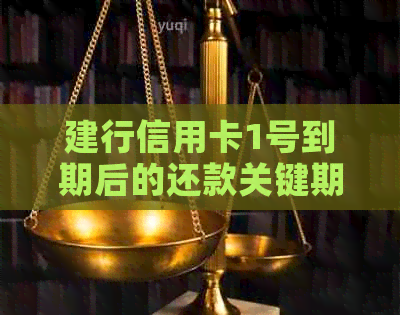 建行信用卡1号到期后的还款关键期，最几天能完成？