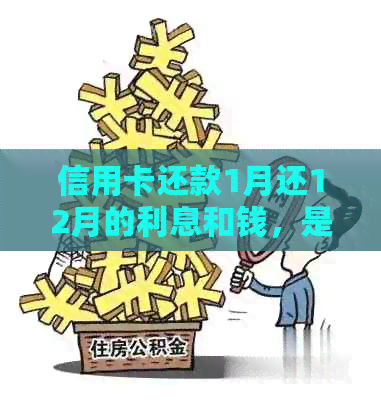 信用卡还款1月还12月的利息和钱，是否可行？