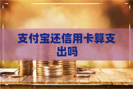 支付宝还信用卡算支出吗