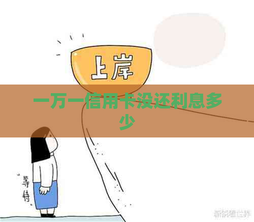 一万一信用卡没还利息多少