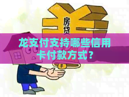 龙支付支持哪些信用卡付款方式？