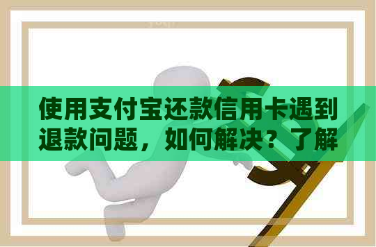 使用支付宝还款信用卡遇到退款问题，如何解决？了解详细步骤和原因