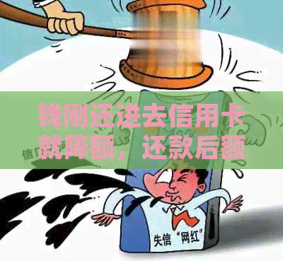 钱刚还进去信用卡就降额，还款后额度降低原因与应对策略