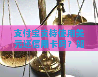 支付宝支持使用美元还信用卡吗？如何操作？现在有哪些选项？