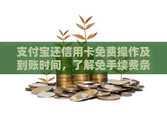 支付宝还信用卡免费操作及到账时间，了解免手续费条件与额度。