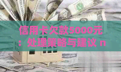 信用卡欠款5000元：处理策略与建议 n如果您需要更多的帮助，请告诉我。