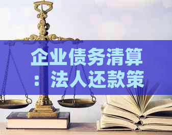 企业债务清算：法人还款策略与实践