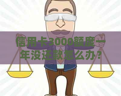 信用卡3000额度一年没还款怎么办？逾期一年后会产生什么后果？