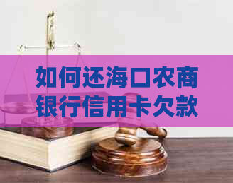 如何还海口农商银行信用卡欠款？请提供详细方法。