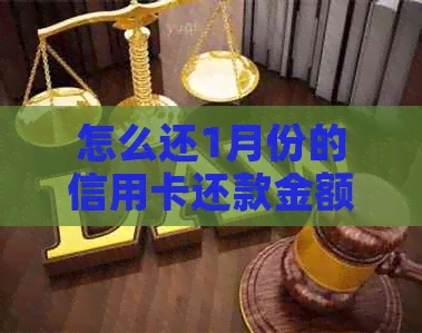 怎么还1月份的信用卡还款金额？无法还款怎么办？