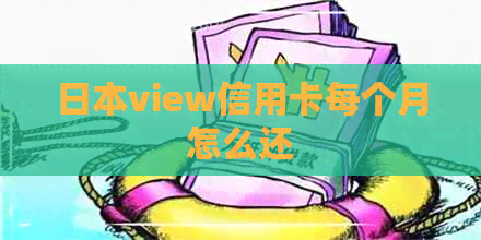 view信用卡每个月怎么还