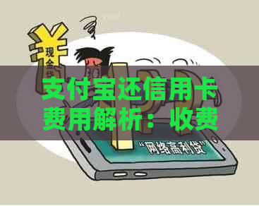 支付宝还信用卡费用解析：收费政策、免费额度以及操作指南一应俱全！