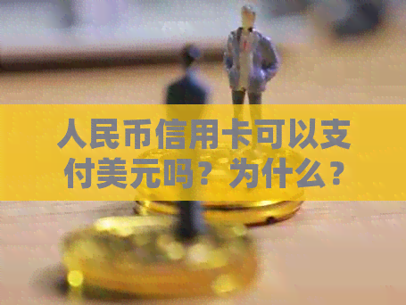 人民币信用卡可以支付美元吗？为什么？