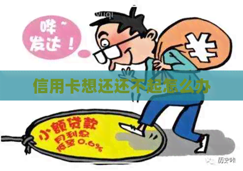 信用卡想还还不起怎么办