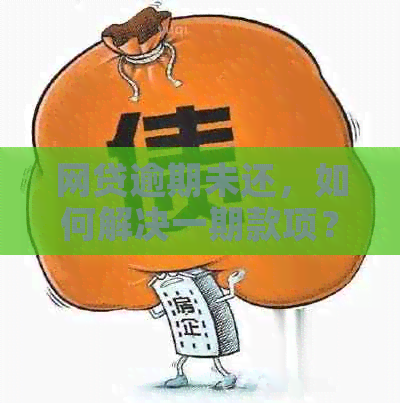 网贷逾期未还，如何解决一期款项？逾期后的各种后果及应对策略