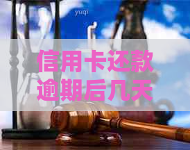 信用卡还款逾期后几天可以还款？错过还款期怎么办？