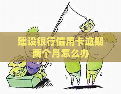 建设银行信用卡逾期两个月怎么办