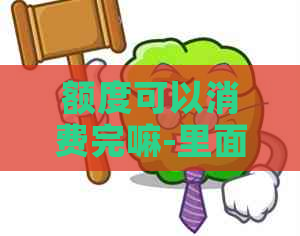 额度可以消费完嘛-里面的额度可以全部用完吗