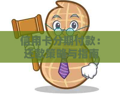 信用卡分期付款： 还款策略与指南