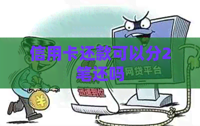 信用卡还款可以分2笔还吗