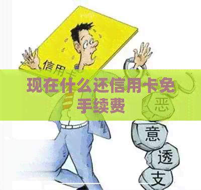 现在什么还信用卡免手续费