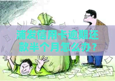 浦发信用卡逾期还款半个月怎么办？如何补救？