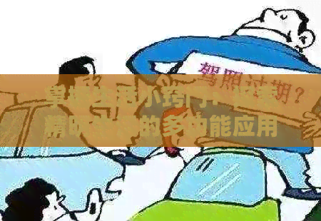 掌握生活小窍门：探索精明生活的多功能应用