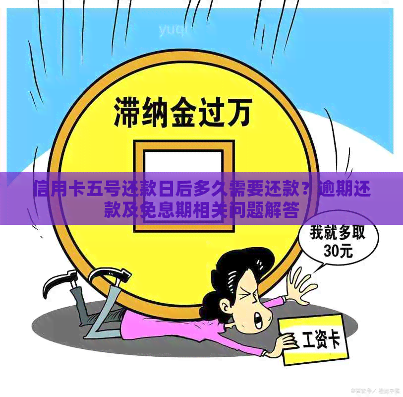 信用卡五号还款日后多久需要还款？逾期还款及免息期相关问题解答