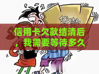 信用卡欠款结清后，我需要等待多久才能重新申请办理新的中国银行信用卡？