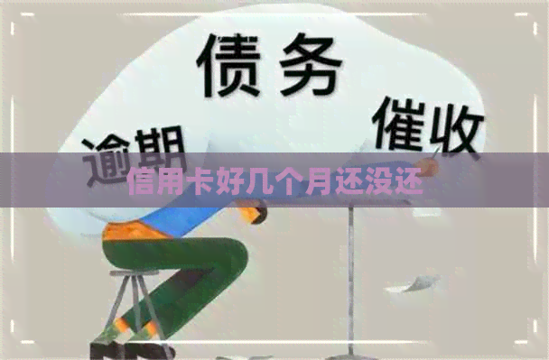 信用卡好几个月还没还