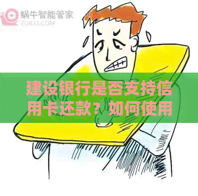 建设银行是否支持信用卡还款？如何使用该功能？