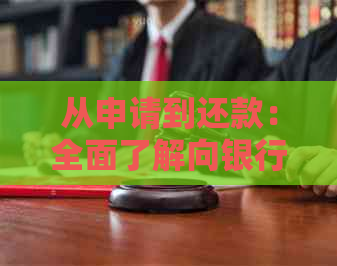 从申请到还款：全面了解向银行贷款的过程与注意事项