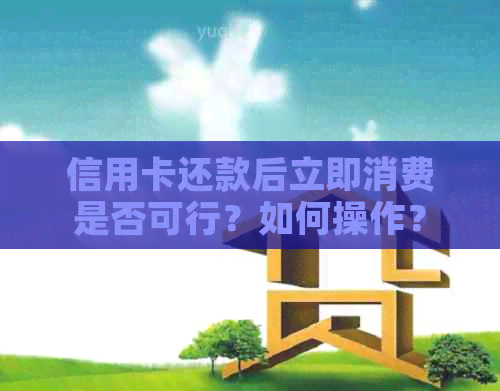 信用卡还款后立即消费是否可行？如何操作？