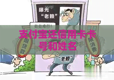 支付宝还信用卡卡号和姓名