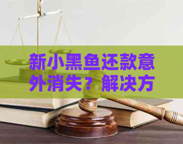 新小黑鱼还款意外消失？解决方案和原因全解析！