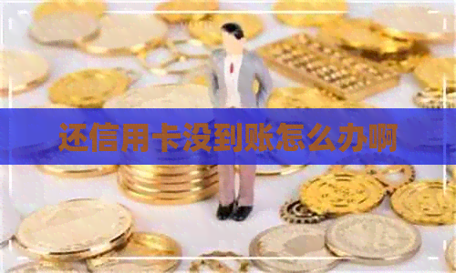 还信用卡没到账怎么办啊