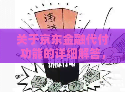 关于京东金融代付功能的详细解答，以及与此相关的热门问题探讨