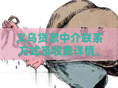 义乌贷款中介联系方式及收费详情，请咨询以下电话：xxx-xxxx。