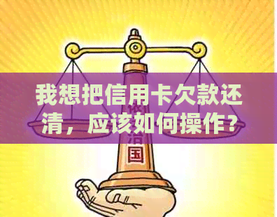 我想把信用卡欠款还清，应该如何操作？