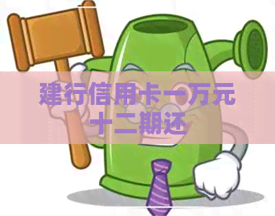 建行信用卡一万元十二期还