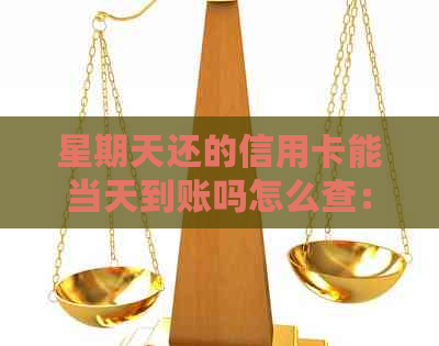 星期天还的信用卡能当天到账吗怎么查： 安全解答与查询方法