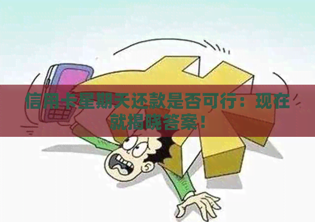 信用卡星期天还款是否可行：现在就揭晓答案！