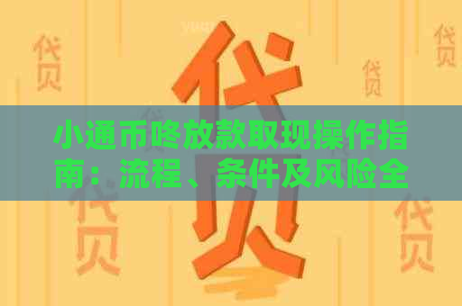 小通币咚放款取现操作指南：流程、条件及风险全解析