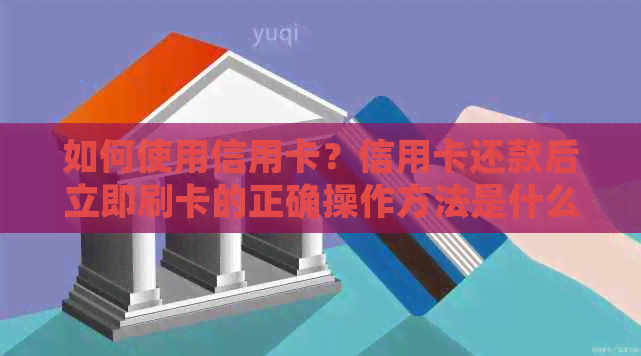 如何使用信用卡？信用卡还款后立即刷卡的正确操作方法是什么？