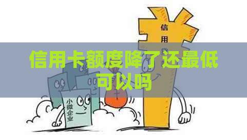 信用卡额度降了还更低可以吗