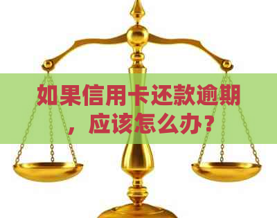 如果信用卡还款逾期，应该怎么办？