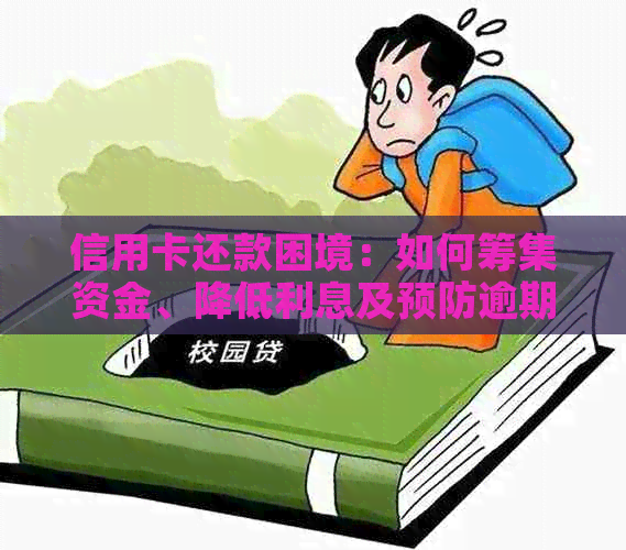 信用卡还款困境：如何筹集资金、降低利息及预防逾期