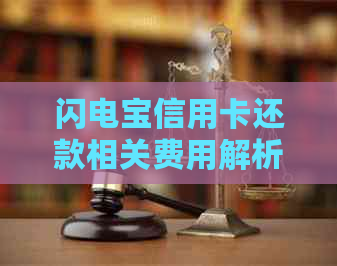 闪电宝信用卡还款相关费用解析：是否需要手续费？