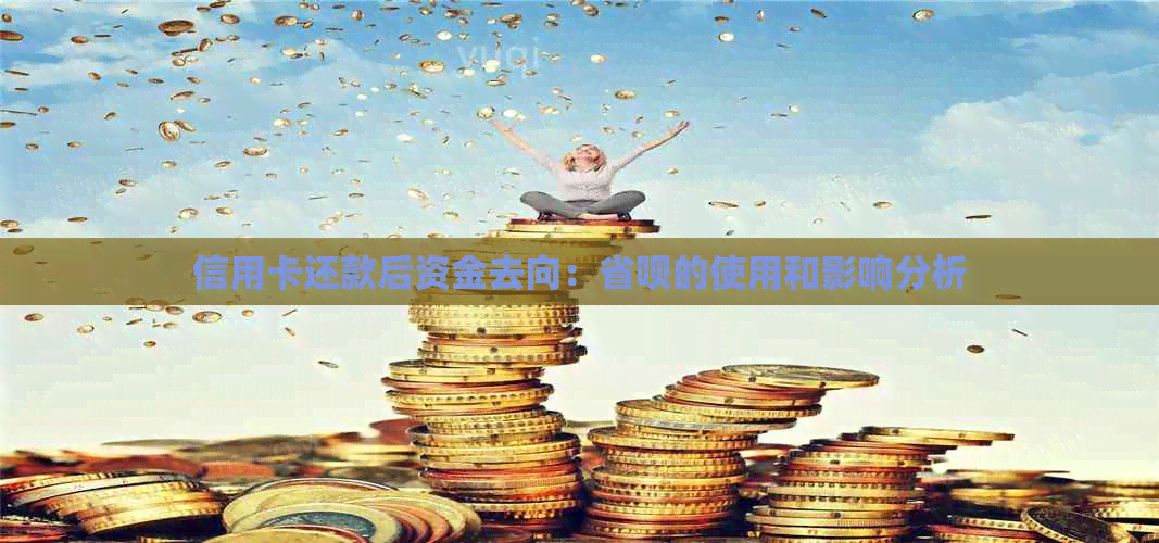 信用卡还款后资金去向：省呗的使用和影响分析