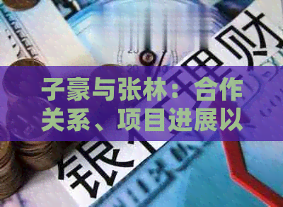 子豪与张林：合作关系、项目进展以及未来规划的全面解析